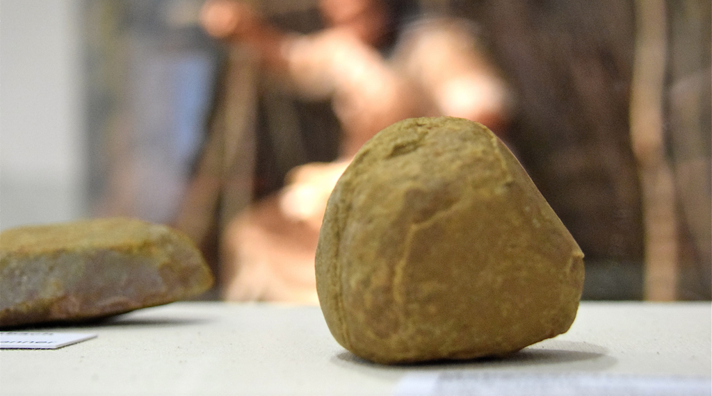 Neue Präsentation des Vormenschen im Vonderau Museum