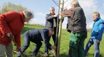 Bürgermeister Werner Dietrich beim Pflanzen