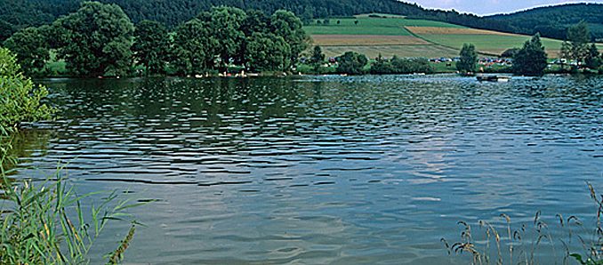 pf_see1