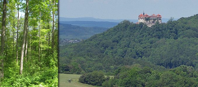 bieberstein_ns1
