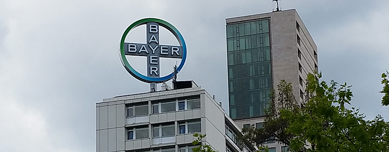 Gen-Soja und Pestizide: NGOs reichen OECD-Beschwerde gegen Bayer ein