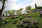 Gartenfest impress022