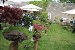 Gartenfest impress043