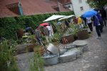 Gartenfest impress087