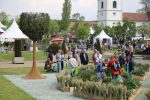 Gartenfest impress122
