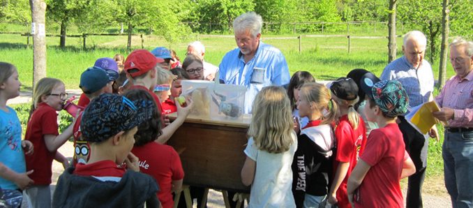 fdi-mediendienst Kinder-Bienen