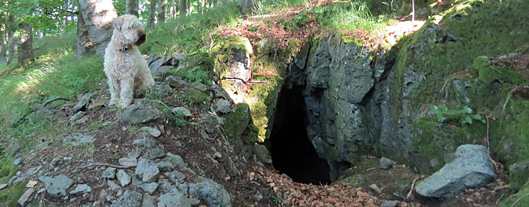 Zufluchtsort Wildholl-Loch – eine kleine Basalthöhle im Vogelsberg wurde als Naturdenkmal ausgewiesen. Foto: Susanne Jost