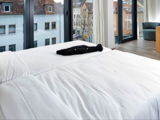 Ibis fulda01