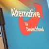 Klöckner warnt vor AfD-Verbotsverfahren „aus dem Bauch heraus“