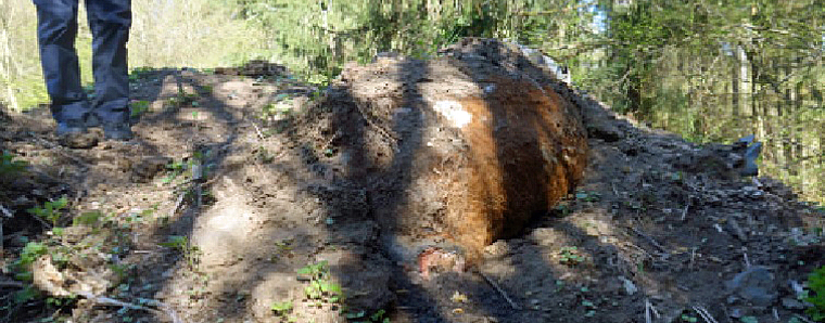 Grausiger Fund auf der früheren Deponie in Hutten: Auf dem Gelände ist über einen längeren Zeitraum eine Vielzahl an toten Rindern verscharrt worden. Foto: mkk