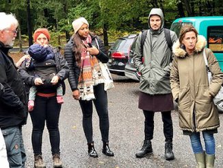 Waldspaziergang br01