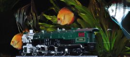 Saisonabschluss im Fuldaer Tümpelgarten mit Eisenbahnen und Reptilien