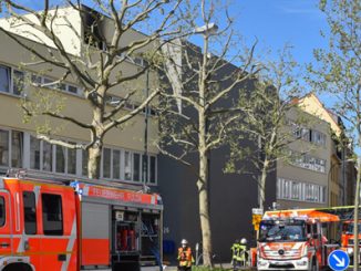 Feuer petstr01 Kopie
