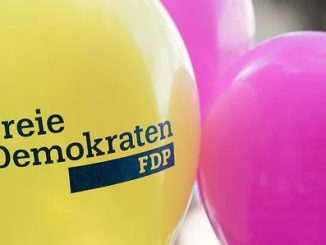 Naas wird FDP-Spitzenkandidat