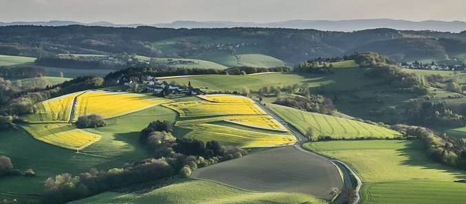 wiedtal01