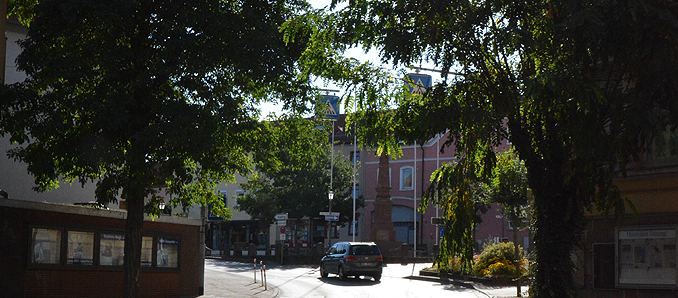 stadtbaum1
