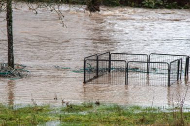 hochwasser0
