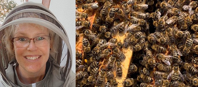 Bienengutachterin1