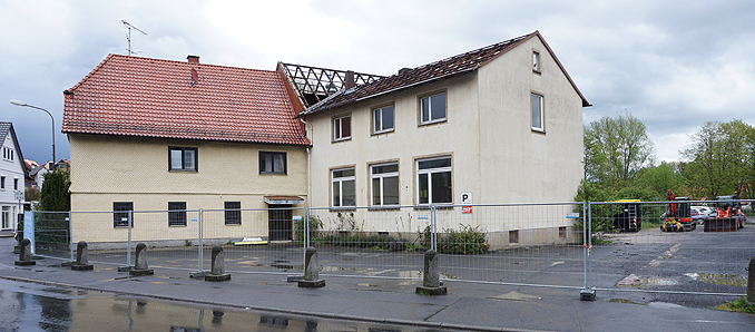 fliedenhase1