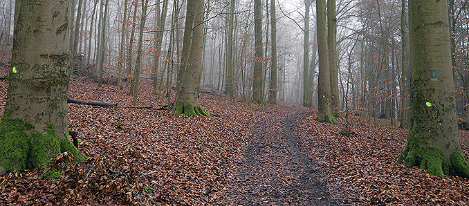 rauschenbergww