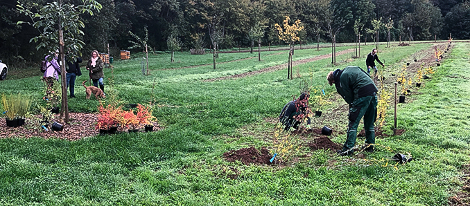 Der Artenvielfalt auf die Sprünge helfen 1: „Die Heckenpflanzung in der Umsetzung“. Foto: Iris Sparwasser