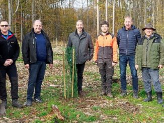 Kalbach baum1