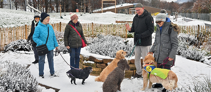 Probelauf im Winter: Für die geführten Hundespaziergänge haben sich einige Hundebesitzerinnen mit LGS-Bauleiter Martin Hauck und Bürohündin Akira im SonnenGarten getroffen und einen Testlauf durchgeführt. Foto: LGS/Arnulf Müller