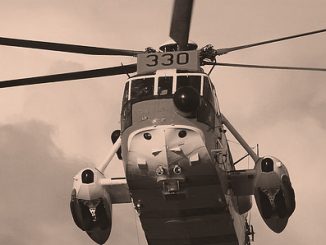 Seaking1