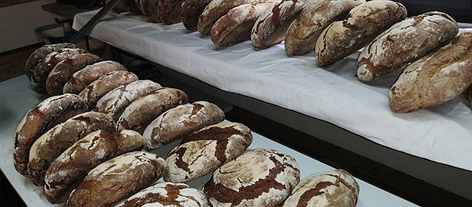 Die frischen Holzofenbrote warteten nicht lange auf Abholung von Brotgenießern. Foto: privat.