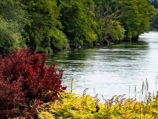 Fluss1