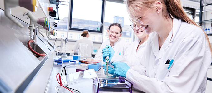 hochschulefd1 Hochschulefd1