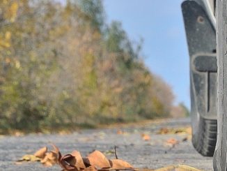 Auto herbst1