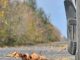 Auto herbst1