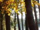 Herbstwetter