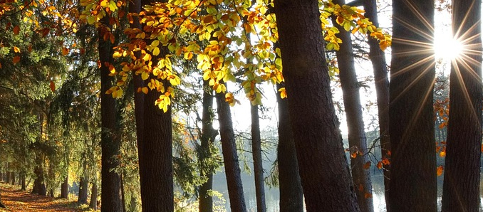 Herbstwetter