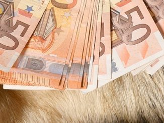 Pelz geld
