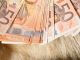 Pelz geld