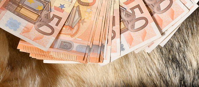 pelz_geld Pelz geld