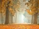 Herbst4