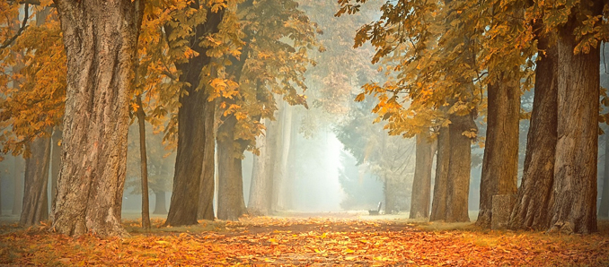 Herbst4