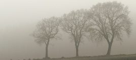 Wetter in Hessen: Nebel und Wolken dominieren, Frost in der Nacht möglich
