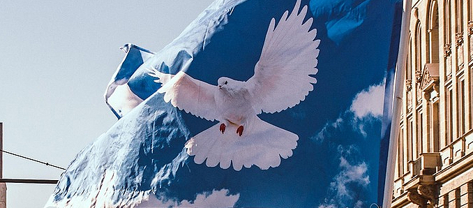 Friedenstaube1