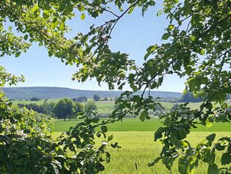 Sommer1