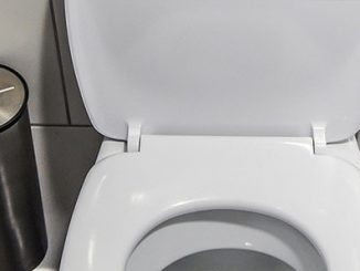Toilette1