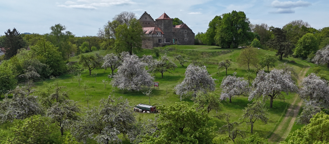 Burg feck1