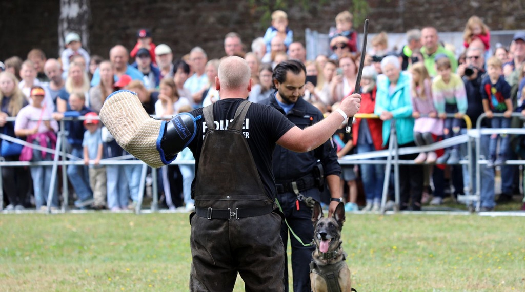 Polizei alue3