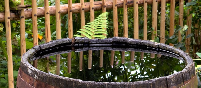 regenwasser1